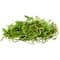 24 Pack: SuperMoss® Preserved Green Forest Moss